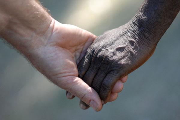 bigsing-community-hands-600x400